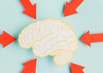 Sağ Sol Beyin Çalışması